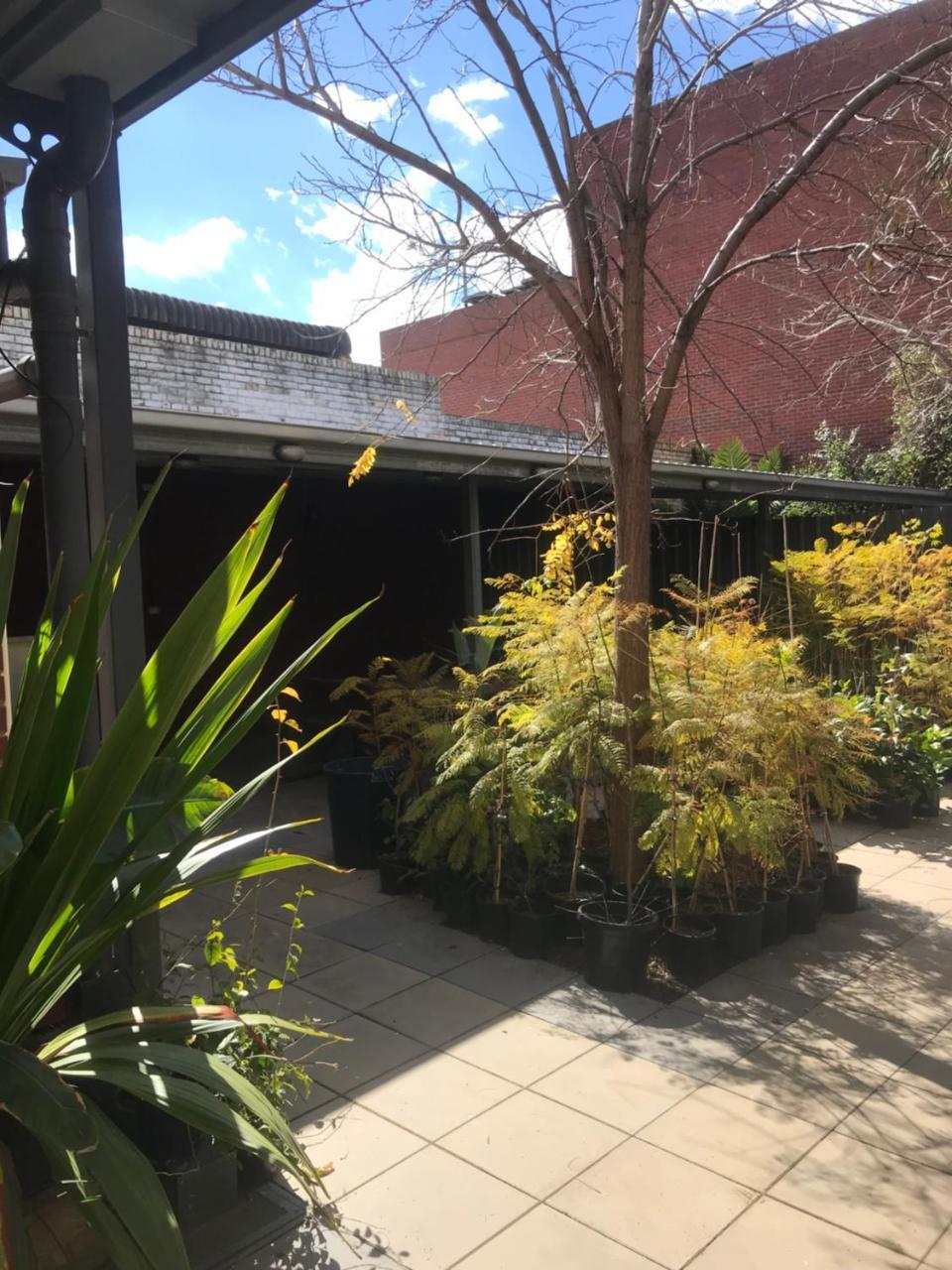 Crown Cbd Motel - City Location Bendigo Esterno foto